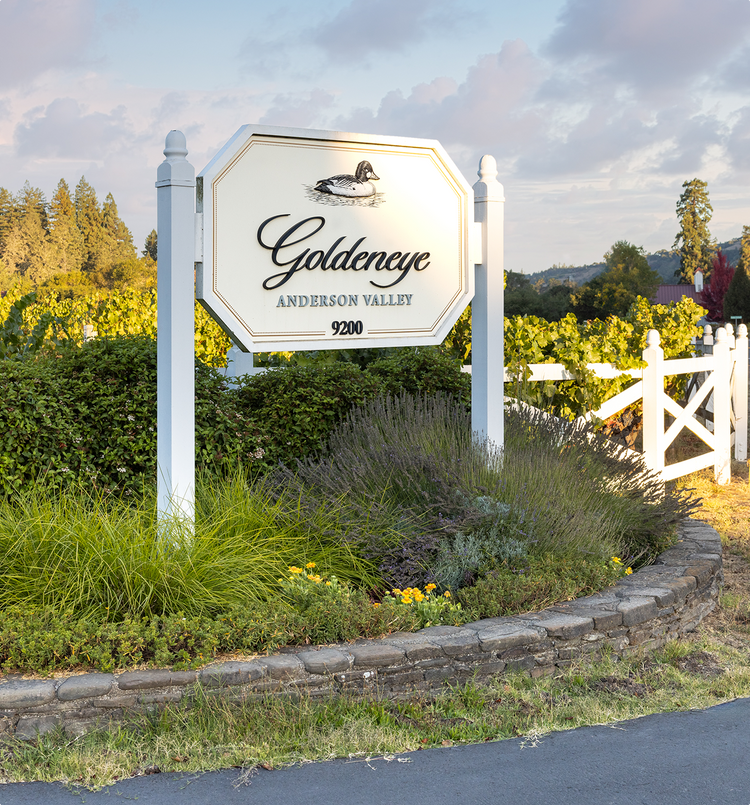 2008