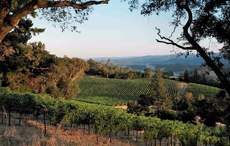 Chatting with Decoy Winemaker, Tyson Wolf