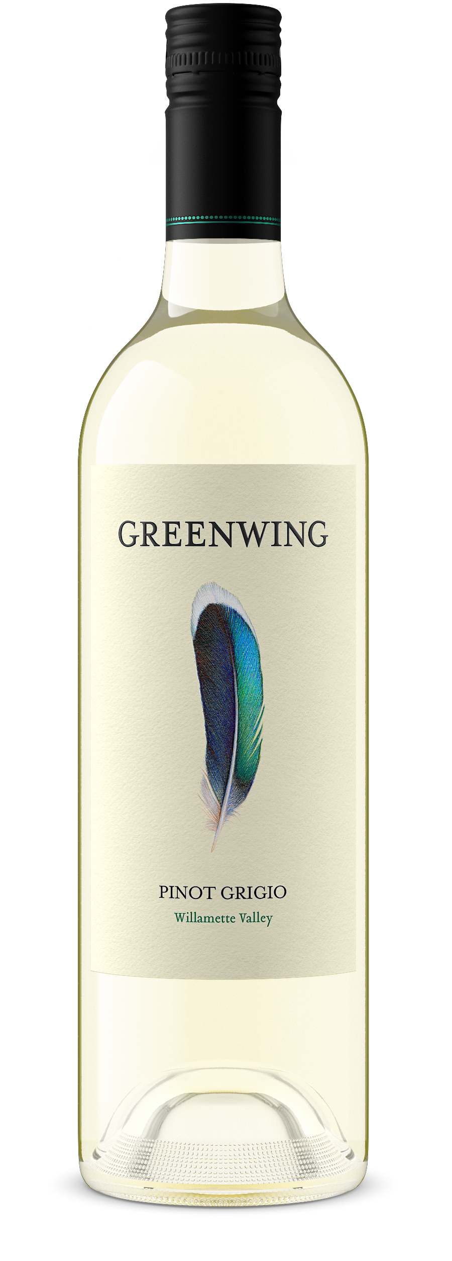 2025 Greenwing Willamette Valley Pinot Grigio