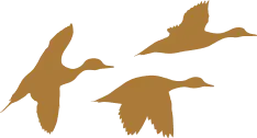 The Duckhorn Collection duck mark