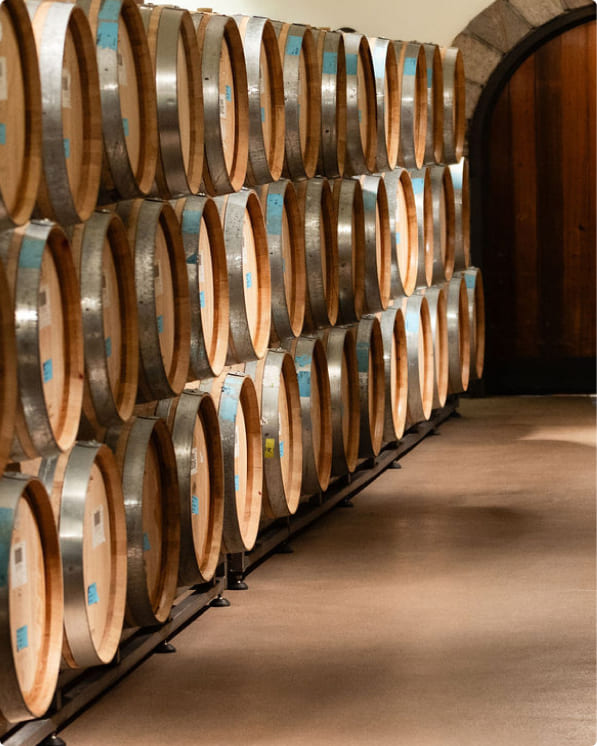 Wine barrels stored in a cellar beside an arched doorway
