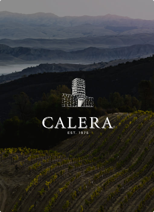 2019 Calera Mt. Harlan Pinot Noir Ryan Vineyard – The Duckhorn