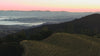 Rolling vineyard hills overlooking a valley filled with morning fog